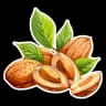 Almond emoji
