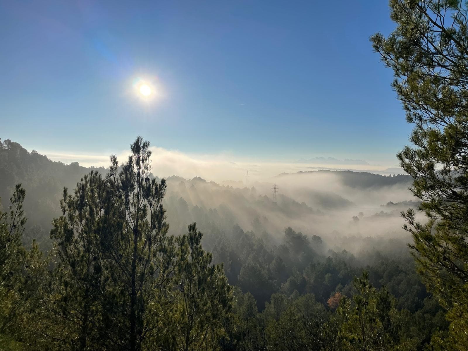 Joyland main landscape